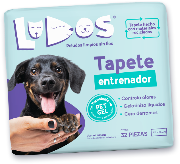 Toallitas Uso diario