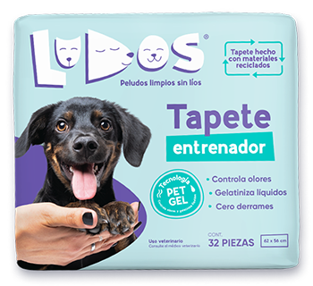 ludos tapete XL ultra absorbente